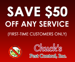 Save $50 Off Any Service
